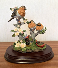 The Leonardo Collection nature studies Robins.