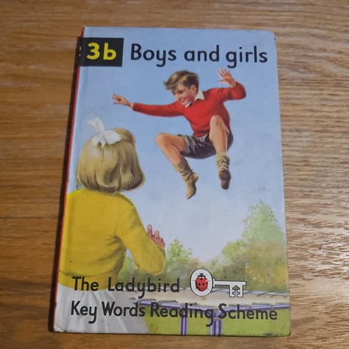 Vintage ladybird book - ladybird, boys