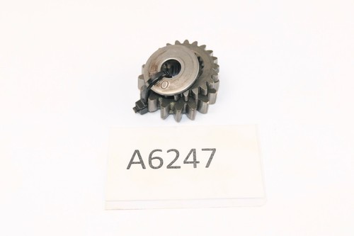 Honda 125 1982 primary - r,