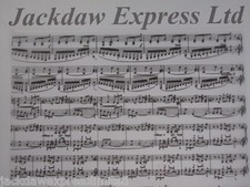 25 x A4 100gsm Printed Vellum Paper - Musical Notes (Black) AM510