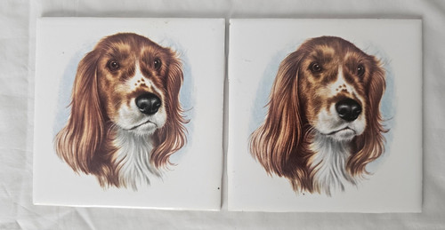 pilkington tiles