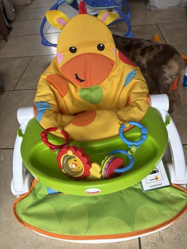 Fisher price djd81 - fisher-price, giraffe