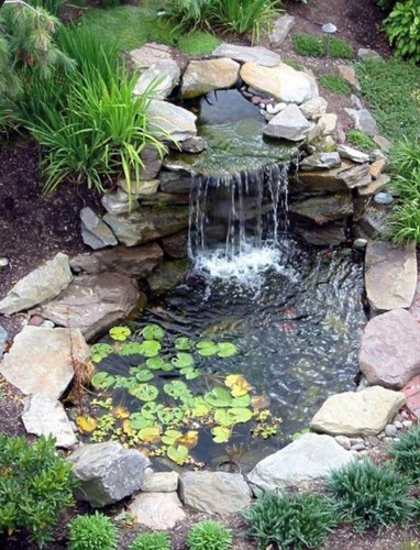 Pond bag all the stone - all,
