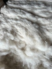 Raw Sheep Wool Fleece, 3lb, Unwashed, Unprocessed, for Spinning, Knitting, Felt