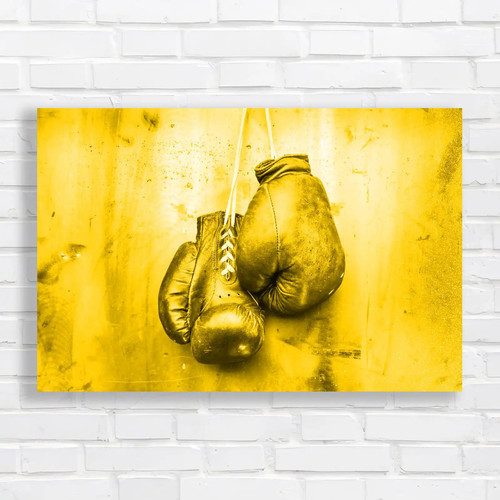Vintage boxing gloves - vintage, hanging