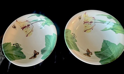 Spode floral haven soup - ‘floral,