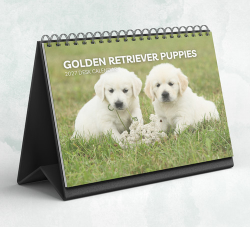 Golden retriever puppies desk - golden,