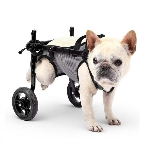 Adjustable lightweight dog - adjustable,