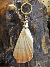 SEASHELL Keyring Genuine sea shell beach beachcomber Ireland 2582