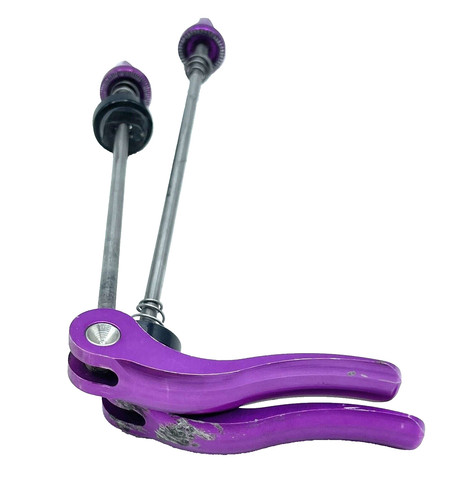 Salsa skewers purple 3dv - skewers,