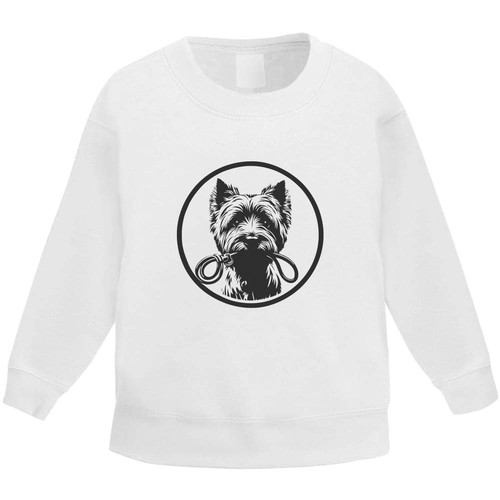 Yorkshire terrier holding - 'yorkshire,