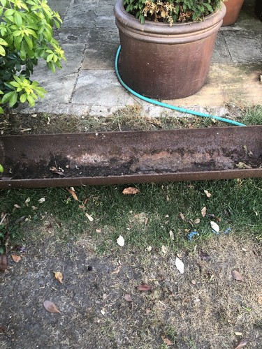 Cast iron trough - iron, plants