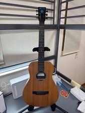 Electric Acoustic Guitar
