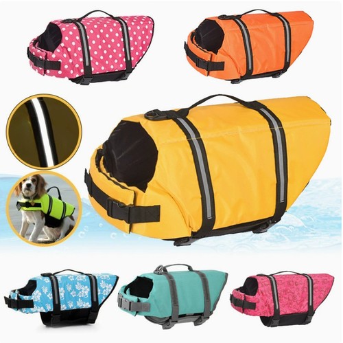 Dog life jacket - life,