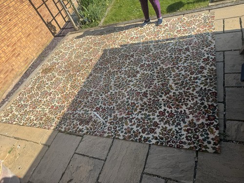 Axminster carpet rug - axminster, carpet/rug