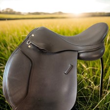 Gorgeous Black 17.5 VSD Medium