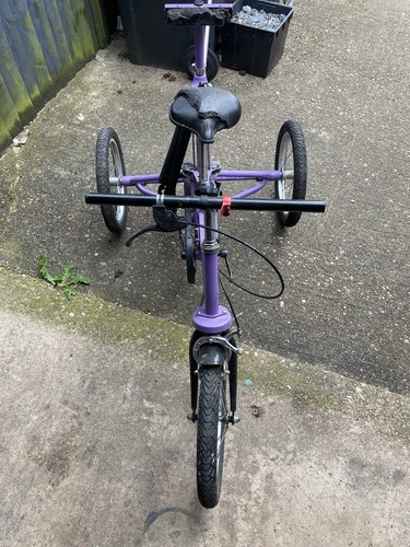 Tom cat trike special needs - tom,