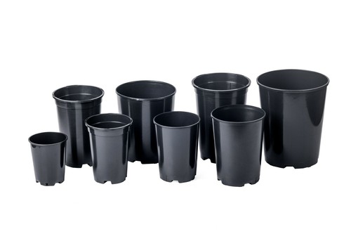 Deep rose pots 7 - deep,