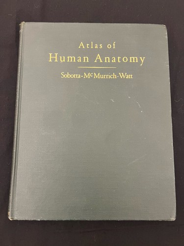 Vintage anatomy book atlas - anatomy,
