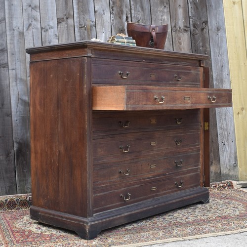 Antique museum collector - museum, collector's