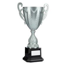 Large Silver Presentation Cups