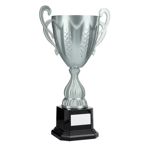 Large silver presentation cups - presentation,