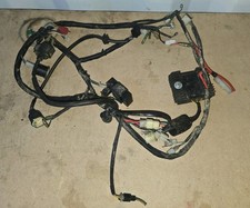 Quadzilla xlc320 Wiring Loom /