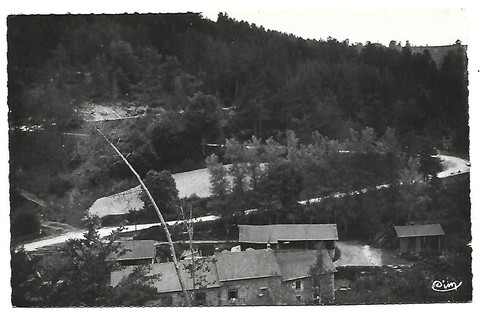 Apinac saw mill - 42,