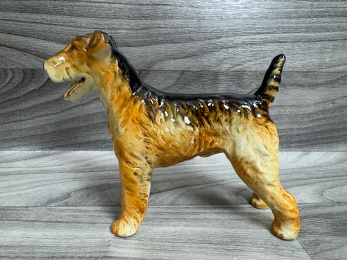 Rossini japan airedale terrier - japan,