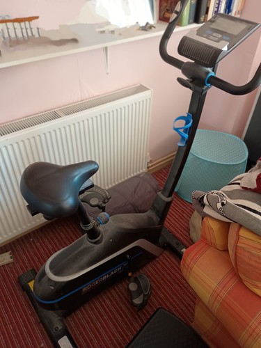 Roger black gold exercise bike - roger,