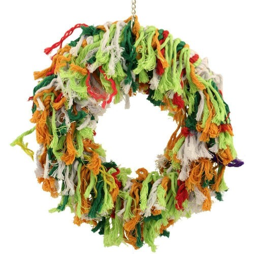 Rainbow ring parrot - rainbow,