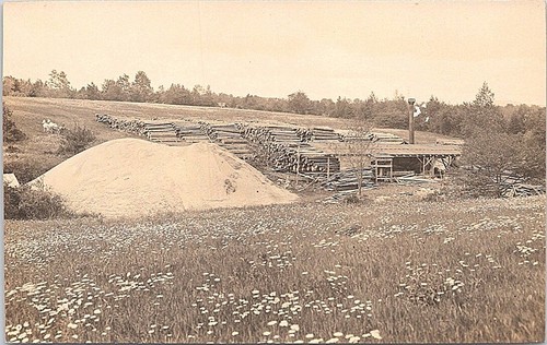 Rppc logging camp - camp, scene