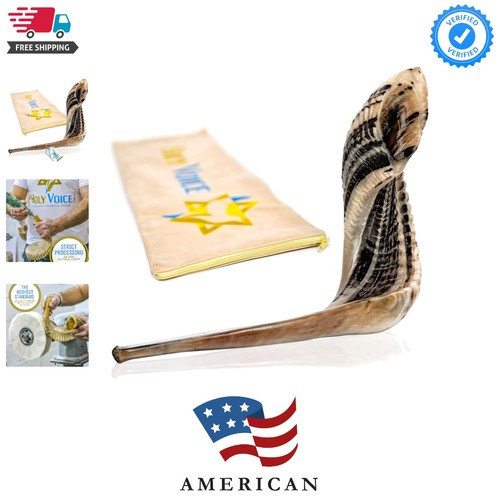 Kosher ram shofar horn from - ram,