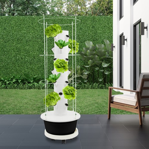 Plant hydroponics vertical - hydroponics,