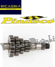 11939 - Multiple Gear Pinasco