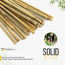 2FT 3FT 4FT 5FT 6FT Bamboo Garden Canes Strong Thick Quality Support Green canes