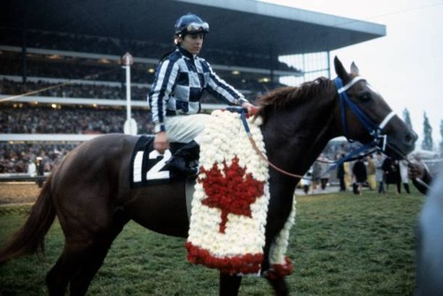 Eddie maple victorious aboard - maple,