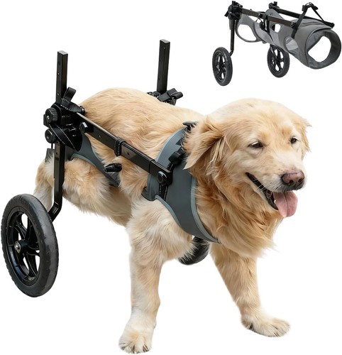 Dog wheelchair for - dog, back