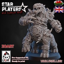 Zoart -  Fantasy Football Star