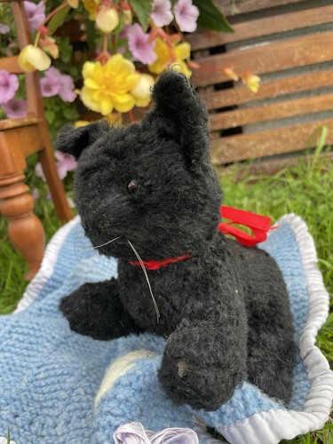 Teddy bear old - bear,
