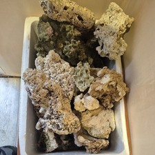 5 kg Marine Aquarium Live Rock