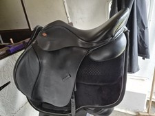 Kent And Masters 17" High