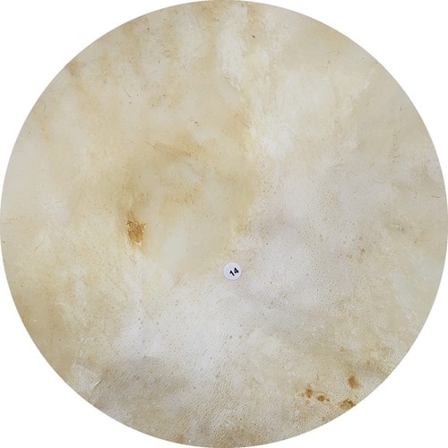 Calf natural skin - ,
