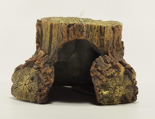 Trunk stump small detailed - trunk,