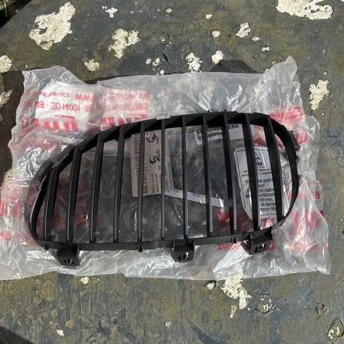 Bmw series e60 kidney - kidney, grille