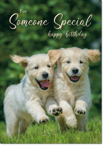 Doodlecards someone special - doodlecards,
