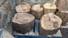 rustic Tree Stumps/seats