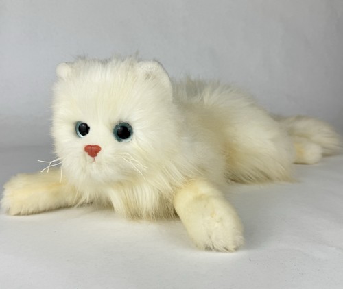 2001 classic peachy - peachy, cat