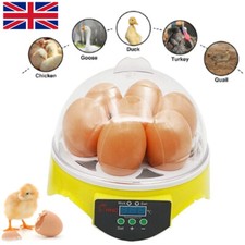 7 Eggs Incubator Automatic