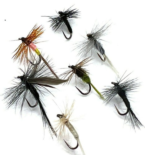 Dry fly fishing trout - , flies